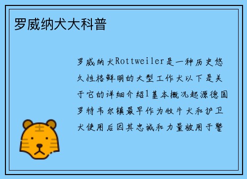 罗威纳犬大科普