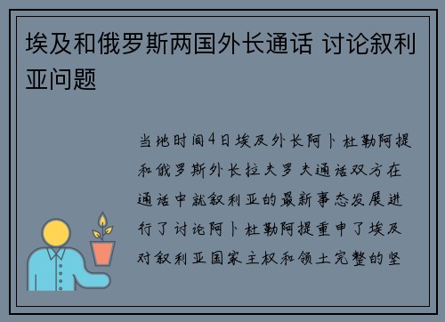埃及和俄罗斯两国外长通话 讨论叙利亚问题